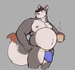 belly beverage big_bulge bulge clothing coffee detailed_bulge genital_outline grumpy jockstrap looking_away male moobs musclegut muscular nipples overweight overweight_male penis_outline slightly_chubby slightly_chubby_male solo underwear tcw canid canine canis mammal wolf absurd_res hi_res