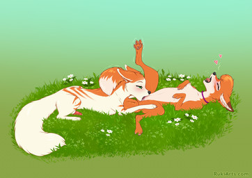 animal_genitalia blush butt claws countershade_torso countershading cunnilingus duo erection feet female feral feral_on_feral fur genitals hair lying male male/female on_back on_front oral penis sex sheath tail teeth toes tongue vaginal vulva rukifox canid canine fox mammal 2026 digital_drawing_(artwork) digital_media_(artwork)
