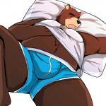 anthro biceps big_muscles black_eyes black_nose blue_clothing blue_underwear boxer_briefs brown_body brown_fur bulge chest_tuft claws clothed clothing crossed_arms fur looking_at_viewer male muscular muscular_anthro muscular_male pose shirt simple_background smile solo topwear tuft underwear white_background bearlovestiger13 morenatsu juuichi_mikazuki american_black_bear bear black_bear mammal ursine 1:1 2015 digital_media_(artwork)