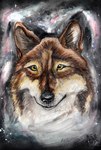 abstract_background ambiguous_gender black_nose brown_body brown_fur feral fur gradient_fur mouth_closed solo sparkles tan_body tan_fur white_body white_fur yellow_eyes kola_(artist) canid canine mammal traditional_media_(artwork)