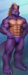 4_toes 5_fingers abs anthro big_muscles big_pecs bulge clothed clothing feet fingers fur humanoid_hands looking_at_viewer male muscular muscular_anthro muscular_arms muscular_legs muscular_male pecs purple_body purple_clothing purple_fur purple_underwear solo toes topless topless_male underwear underwear_only dalluwn canid canine canis mammal wolf 2017 full-length_portrait portrait