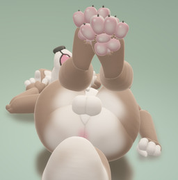 4_fingers 4_toes anthro anus balls barefoot biped blue_eyes butt claws erection feet fingers fur genitals hair hindpaw humanoid_genitalia humanoid_penis lying male nude on_back open_mouth pawpads paws penis simple_background solo toe_claws toes backsash canid canine mammal 2019 3d_(artwork) digital_media_(artwork)