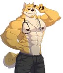 abs anthro biceps black_bottomwear black_clothing black_pants blonde_hair bottomwear chest_tuft clothed clothing curled_tail deltoids eyes_closed facial_hair fingers forearm_muscles fur gesture goatee hair hand_on_head male medical_instrument muscular muscular_anthro muscular_male navel neck_tuft nipples obliques pants pawpads salute scientific_instrument simple_background smile solo stethoscope tail topless triceps tuft two-finger_salute white_background yellow_body yellow_fur black-kun canid canine canis domestic_dog mammal shiba_inu spitz 2022 hi_res