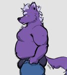 annoyed anthro belly biceps big_belly biped black_clothing black_nose black_underwear bottomwear bulge chin_tuft clothed clothing denim denim_bottomwear denim_clothing ear_piercing ear_ring eyebrows facial_tuft fur hair half-closed_eyes inner_ear_fluff jeans male mouth_closed narrowed_eyes navel nipples pants partially_clothed piercing pulling_up_pants purple_body purple_fur purple_tail ring_piercing side_view simple_background slightly_chubby solo tail topless topless_male tuft underwear unnatural_colors white_background white_eyebrows white_hair spyz_(artist) tight_pants_(meme) kodi_(spyz) canid canine mammal 2023 hi_res meme shaded signature