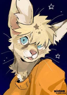 anthro blue_eyes clothing fangs fluffy fluffy_hair fur hair hoodie male messy_fur orange_clothing orange_hoodie orange_topwear simple_background solo teeth tongue topwear whiskers wintom