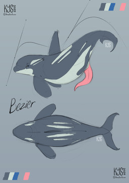animal_genitalia animal_penis cetacean_genitalia cetacean_penis feral genitals high-angle_view male penis side_view solo tapering_penis text toony knowyoursources aquatic cetacean dolphin mammal oceanic_dolphin orca toothed_whale absurd_res english_text hi_res model_sheet