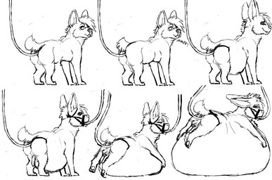 feral hose hose_inflation inflation male muzzle_(object) solo waist_harness sketchygenet canid canine canis domestic_dog herding_dog mammal pastoral_dog welsh_corgi black_and_white hi_res monochrome sketch