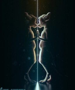 albino anthro claws dark digitigrade duo female flat_chested fur nude text toe_claws white_body white_fur tchaikovsky2 alinga alkina kangaroo macropod mammal marsupial 2017 3d_(artwork) 5:6 absurd_res digital_media_(artwork) hi_res url