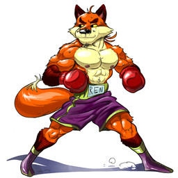 abs anthro bodily_fluids boots bottomwear boxing boxing_gloves clothed clothing eyebrows facial_hair footwear gloves handwear male muscular muscular_anthro muscular_male mustache navel nipples outie_navel pecs shoes shorts simple_background solo sport sportswear standing stubble sweat text topless topless_male white_background keke_(artist) canid canine fox mammal 1:1 2021 character_name digital_media_(artwork)