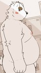 anthro barely_visible_genitalia barely_visible_penis belly big_belly black_nose blush genitals kemono locker_room male micropenis moobs nipples overweight overweight_male penis small_penis solo white_body menmen_kesinn bear mammal 2024 9:16