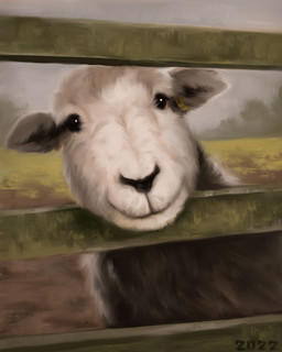 black_eyes black_nose detailed_fur fence feral fur grass mud plant quadruped solo white_body white_fur alexpahomov bovid caprine domestic_sheep herdwick mammal sheep 2022 detailed shaded