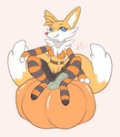 2_tails anthro belt blue_eyes bra clothed clothing female food fruit genitals holidays leggings legwear multi_tail partially_clothed plant pumpkin pussy red_nose sitting solo tail underwear heartsprout halloween nintendo pokemon adventure_fox_(biosbunny) braixen canid canine generation_6_pokemon hybrid mammal pokemon_(species) hi_res