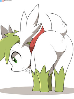 ambiguous_gender ass_up butt butt_focus crotch_focus featureless_crotch feral fur green_body green_eyes green_fur null rear_view simple_background solo white_background white_body white_fur winick-lim nintendo pokemon generation_4_pokemon legendary_pokemon pokemon_(species) shaymin sky_forme_shaymin 2020 absurd_res hi_res