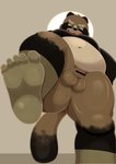 anthro balls belly brown_body brown_fur feet flaccid fur genitals kemono male moobs overweight overweight_anthro overweight_male penis small_penis solo hisashiyo_0705 canid canine mammal raccoon_dog tanuki 2020 censored hi_res