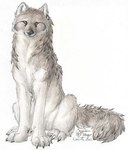 ambiguous_gender black_nose claws feral fur grey_body grey_fur looking_at_viewer paws simple_background sitting snout solo tail white_background unknown_artist unknown_artist_signature canid canine canis mammal wolf 2001 colored_pencil_(artwork) dated full-length_portrait low_res portrait signature traditional_media_(artwork)