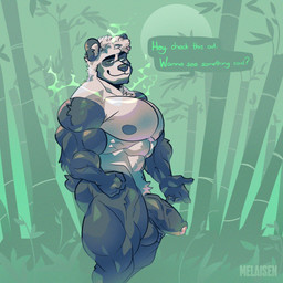 anthro balls bamboo bamboo_forest beard biceps big_balls big_muscles big_pecs big_penis dialogue facial_hair forest genitals hair humanoid_genitalia humanoid_penis looking_at_viewer male muscular muscular_anthro muscular_male muscular_thighs nude nude_anthro nude_male pecs penis plant smile solo standing text tree white_hair melaisen bear giant_panda mammal 1:1 absurd_res english_text hi_res