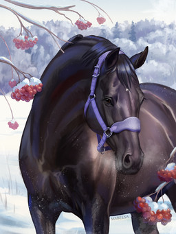 ambiguous_feral ambiguous_gender black_body black_fur black_hair black_mane brown_eyes feral forest fur hair halter mane markings plant pupils quadruped realistic_feral snow solo text tree white_markings winter beesa equid equine horse mammal 2025 3:4 artist_name digital_media_(artwork) digital_painting_(artwork) hi_res painting_(artwork) portrait signature