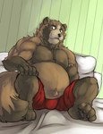 anthro bed belly black_nose bottomwear brown_body brown_fur bulge clothing fur furniture humanoid_hands male overweight overweight_male pillow shorts sitting solo cinna-tree canid canine mammal raccoon_dog tanuki 2015 hi_res