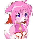 1:1 2011 alternate_species anthro asian_clothing blue_eyes blush breasts canid chinese_clothing clothing dog_days east_asian_clothing female fur hair half-length_portrait hi_res inner_ear_fluff kasetsu_hanga looking_up mammal millhiore_f_biscotti pink_body pink_fur pink_hair portrait simple_background smile solo tuft white_background