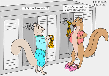animal_genitalia balls blue_clothing bottomwear brown_body brown_fur clothes_hanger clothing dialogue duo female feral fur genitals grey_body grey_fur harness holding_harness locker locker_room male male/female sheath shorts skirt smile tail text topwear undressing vest urbanhermit mammal rodent sciurid tree_squirrel 2000 english_text