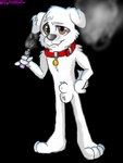 animal_genitalia collar fur genitals male pronounced_browridge red_collar sheath smoke smoking solo vape vape_pen white_body white_fur nightzombie family_guy brian_griffin canid canine canis domestic_dog mammal 3:4