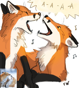 4_toes ambiguous_gender comparison duo feet feral fur open_mouth orange_body orange_fur paws photo simple_background teeth toes tongue white_background white_body white_fur yelling flashw canid canine fox mammal red_fox true_fox multiple_images photography_(artwork) signature