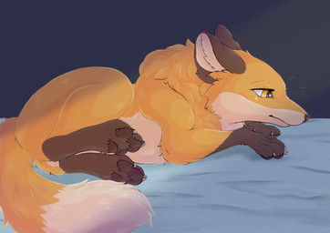 3_toes 4_toes ambiguous_gender bed black_nose black_pawpads bodily_fluids brown_body brown_ears brown_feet brown_fur brown_nose brown_pawpads cheek_tuft claws countershade_face countershade_fur countershade_torso countershading dipstick_tail eyelashes facial_tuft feet feral fluffy fluffy_tail fur furniture gloves_(marking) hindpaw inner_ear_fluff leg_markings lying markings multicolored_body multicolored_fur multicolored_tail narrowed_eyes neck_tuft on_bed on_front on_side orange_body orange_eyes orange_fur orange_tail pawpads paws quadruped side_view simple_background snout socks_(marking) solo tail tail_markings tan_body tan_fur tan_tail tears toe_claws toes tuft two_tone_tail whiskers white_body white_claws white_fur white_inner_ear white_tail yellow_eyes fusau canid canine fox mammal red_fox true_fox 2023 absurd_res digital_media_(artwork) hi_res shaded