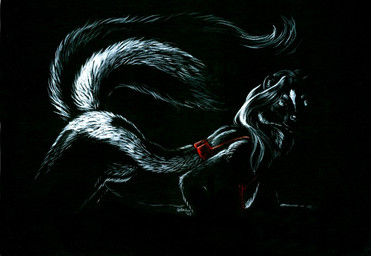 anthro blue_eyes bottomless clothed clothing dark female night solo tail heather_bruton mammal mephitid skunk 2009