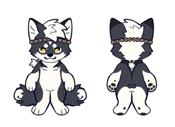 2_tails anthro black_ears black_nose cheek_tuft facial_tuft featureless_crotch front_view fur grey_body grey_ears grey_fur hair looking_at_viewer male mouth_closed multi_tail nude rear_view simple_background simple_eyes solo standing tail tuft unsigned white_background white_body white_fur white_hair yellow_eyes asnnonaka arno_(asnnonaka) canid canine canis domestic_dog mammal 11:8 full-length_portrait portrait