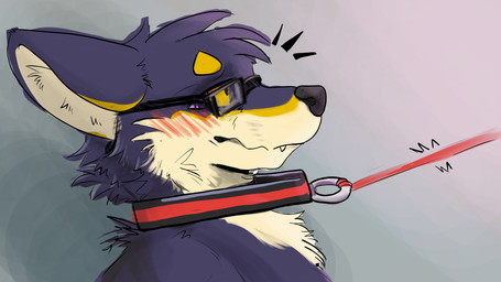 anthro blue_body blue_fur blush blush_lines collar eyewear fur glasses leash leash_pull leashed_collar male markings tan_body tan_fur yellow_eyes yellow_markings rdy zgf_art lupex_(character) canid canine canis domestic_dog mammal 16:9 2025 4k absurd_res hi_res widescreen