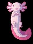 ambiguous_gender feral fingers long_tail looking_at_viewer open_mouth pink_body simple_background smile solo tail tail_motion tailwag transparent_background wingedwolf94 amphibian axolotl marine mole_salamander salamander 2019 2d_animation alpha_channel animated frame_by_frame short_playtime