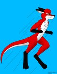 anthro black_arms black_claws black_feet black_nose blue_background claws feet fur green_eyes jumping nose_marking red_body red_fur simple_background white_body white_fur todo_the_fox todo_(character) kangaroo macropod mammal marsupial red_kangaroo concept_art digital_media_(artwork) hi_res ibispaint_(artwork)