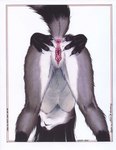 2001 absurd_res anthro anus ass_up bent_over breasts butt claws cynthia_(jmh) female fur gaping gaping_pussy genitals grey_body grey_fur hi_res james_m_hardiman mammal nipples nude presenting presenting_hindquarters procyonid pussy raccoon raised_tail simple_background solo spread_butt spreading tail tail_anus white_background