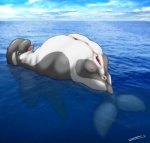 anus cetacean chubby female feral in_water inverted_nipples marine nipples orca pussy sea solo teats tongue tongue_out water whale zevex
Rating: Explicit
Score: 3
User: chdgs
Date: February 19, 2014