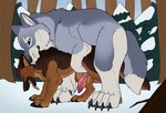 anal anal_penetration animal_genitalia animal_penis blue_eyes brown_body brown_fur canine_genitalia canine_penis claws digitigrade duo erection feral feral_on_feral feral_penetrated feral_penetrating feral_penetrating_feral finger_claws from_behind_position fur genitals green_eyes grey_body grey_fur knot knotted_penis male male/male male_penetrated male_penetrating male_penetrating_male mounting obscured_penetration open_mouth penetration penis plant quadruped sex side_view snow toe_claws tongue tongue_out tree white_body white_fur killthe_demon canid canine mammal hi_res
