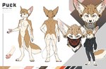 anthro bottomwear breasts brown_body brown_fur clothing ear_piercing female fur hoodie looking_at_viewer mask orange_eyes pants pawpads piercing pink_pawpads solo tan_body tan_fur text topwear silverbloodwolf98 techiesxc puck_(puckfennec) canid canine fennec_fox fox mammal true_fox 2024 absurd_res digital_media_(artwork) english_text hi_res model_sheet nonbinary_(lore) trans_(lore) trans_woman_(lore)