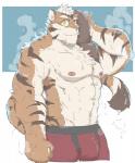 abs anthro biceps blue_background bodily_fluids bulge chest_fur chest_tuft clothing drying drying_face fur looking_at_viewer male muscular muscular_anthro muscular_male nipples pecs red_clothing red_nose red_underwear simple_background solo standing steam striped_body striped_fur stripes sweat sweatdrop towel tuft underwear v-cut white_background yellow_eyes iwano.kal_(artist) felid mammal pantherine tiger