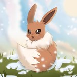 ambiguous_gender black_eyes brown_body brown_fur cloud cloudy_sky feral fluffy fluffy_chest fluffy_tail fur grass open_mouth outside plant sky snow solo sun tail white_body white_fur catptapathy eevee_day nintendo pokemon snowfall eevee generation_1_pokemon pokemon_(species) artist_name hi_res