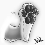 5_toes anthro black_pawpads bodily_fluids feet foot_fetish foot_focus male pawpads paws solo sweat toes white_paws nofak canid canine canis mammal wolf 1:1 monochrome