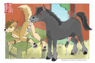 anal anal_licking animal_genitalia animal_penis anthro ash_(rileyzenova) balls barn bodily_fluids bound butt chastity_cage chastity_device cum cum_on_anus cum_on_butt cutaway duo equine_genitalia equine_penis feral furniture genital_fluids genitals hay kissing licking male male/male oral pawpads paws penis presenting raised_tail rileyzenovaa_(ash) rimming sex table tail tail_coil tongue fennec_(artist) hershey's_kisses pakyto canid canine canis dingo equid equine fox horse hybrid mammal digital_media_(artwork)
