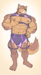 abs anthro biceps bottomwear brown_body brown_fur bulge claws clothing eyebrows finger_claws fur harness male muscular muscular_anthro muscular_legs muscular_male nipples pecs shorts solo swimwear thick_eyebrows ripped-saurian lifewonders live_a_hero pubraseer canid canine canis domestic_dog mammal absurd_res hi_res