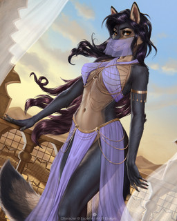 5_fingers anthro biped black_hair breasts claws clothed clothed_anthro clothed_female clothing cloud countershade_torso countershading day desert female finger_claws fingers front_view fur grey_body grey_fur grey_tail hair handpaw inner_ear_fluff looking_at_viewer navel orange_eyes outside paws sand sky smile solo standing tail teeth tuft etskuni amela_(esperlin) canid canine mammal 2025 4:5 digital_drawing_(artwork) digital_media_(artwork) hi_res