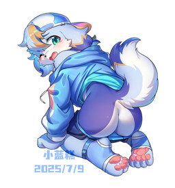 4_toes anthro backwards_baseball_cap backwards_hat baseball_cap black_bottomwear black_clothing black_nose black_shorts blonde_hair blue_body blue_claws blue_clothing blue_eyebrows blue_footwear blue_fur blue_hair blue_hoodie blue_socks blue_topwear blue_underwear blush bodily_fluids bottomwear bottomwear_down bubble_butt butt cheek_tuft claws clothed clothed_anthro clothed_male clothing countershade_butt countershade_face countershade_fur countershade_tail countershade_torso countershading cute_fangs ear_markings embarrassed eyebrows facial_tuft fangs feet floppy_ears fluffy fluffy_tail footwear fur hair hat headgear headwear hindpaw hoodie kemono kneeling looking_at_viewer looking_back looking_back_at_viewer lop_ears male male_anthro markings multicolored_body multicolored_fur multicolored_hair multicolored_tail one_eye_closed one_fang open_mouth partially_clothed partially_clothed_anthro partially_clothed_male pawpads paws pink_pawpads presenting presenting_hindquarters shorts shorts_down simple_background socks solo stirrup_socks tail tail_markings teal_eyes tears teary_eyes teeth three-quarter_view toe_claws toes topwear tuft underwear underwear_down white_background white_body white_countershading white_fur white_sclera yellow_markings young young_anthro young_male xiao_langao canid canine canis domestic_dog mammal 2025 absurd_res dated full-length_portrait hi_res portrait