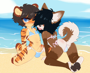 anthro arm_support assisted_exposure beach bent_over bikini bikini_pull black_hair blue_bikini blue_clothing blue_eyes blue_swimwear blush bodily_fluids brown_body brown_fur bulge butt clothed clothing clothing_pull countershading crossdressing day dripping duo erection eyebrow_through_hair eyebrows feet fingers foreskin fur genitals gradient_bikini hair hair_over_eyes kneeling looking_at_viewer looking_back male male/male mouth_closed navel one_eye_obstructed orange_body orange_fur outside pawpads penis sand side-tie_bikini sitting sky string_bikini striped_body striped_fur stripes sweat swimwear swimwear_pull tail tongue tongue_out translucent translucent_hair two-piece_swimsuit underwear underwear_pull water young young_anthro young_male aoizuri ken_(claralaine) oro_(ungoliant) canid canine canis domestic_cat domestic_dog felid feline felis mammal 2019