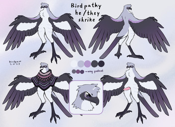 abstract_background anthro avian_feet beak genitals male penis poncho_only solo text wings birdpaw_(artist) birdpathy avian bird great_grey_shrike absurd_res hi_res model_sheet