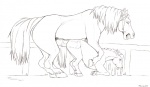 2013 akkusky all_fours animal_genitalia ass_up big_penis doggystyle duo equine erection eyes_closed female fence feral feral_on_feral flared_penis from_behind hooves horse horsecock internal line_art male mammal mane monochrome penetration penis pony sex size_difference straight vaginal vaginal_penetration vein
Rating: Explicit
Score: 9
User: Peekaboo
Date: August 31, 2013