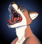 anthro black_background blue_background blue_eyes bodily_fluids braces brown_body brown_fur canid canine colin_foxy fangs fox fur herbst_appliance hi_res male mammal mouth_shot ms.sunrise open_mouth palatal_expander saliva saliva_on_tongue simple_background solo teeth tongue white_body white_fur