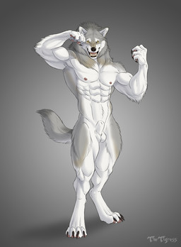 4_toes 5_fingers abs animal_genitalia anthro areola arm_tuft balls bared_teeth biceps biped black_claws black_lips black_nose broad_shoulders calf_muscles claws curled_fingers digitigrade dipstick_tail elbow_tuft fangs feet finger_claws fingers fist flexing flexing_bicep fluffy fluffy_tail fully_sheathed fur genitals grey_background grey_body grey_fur inner_ear_fluff lips looking_at_viewer male mane markings multicolored_body multicolored_fur muscular muscular_anthro muscular_male neck_tuft nipples nude nude_anthro nude_male pawpads paws pecs pink_nipples pink_pawpads quads serratus sharp_teeth sheath simple_background smile snout solo standing starburst_background tail tail_markings tan_markings teeth text toe_claws toes toothy_smile triceps tuft two_tone_body two_tone_fur whisker_spots whiskers white_body white_fur yellow_eyes thetigress canid canine canis mammal wolf 2026 artist_name digital_media_(artwork) hi_res shaded