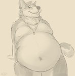 anthro belly belly_rolls big_belly clothed clothing deep_navel ear_piercing fat_rolls huge_belly huge_thighs jewelry male moobs navel necklace obese obese_male overweight overweight_male piercing simple_background smile solo tail thick_thighs underwear underwear_only wide_hips bask canid canine canis domestic_dog mammal mixed_breed utonagan