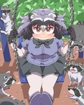 biped black_nose blush clothed clothing detailed_background fur grey_body grey_fur group humanoid_hands sitting smile umikazenet3 kemono_friends arai-san animal_humanoid humanoid mammal mammal_humanoid procyonid procyonid_humanoid raccoon raccoon_humanoid 4:5